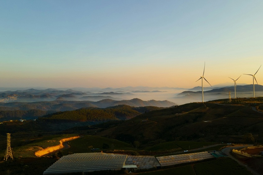 Aerial Grid View